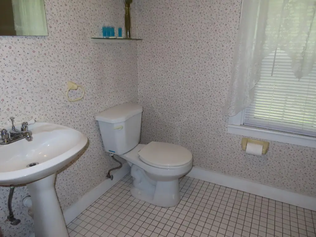 Picture 19