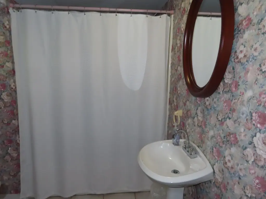 Picture 17