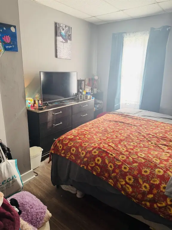 Picture 24