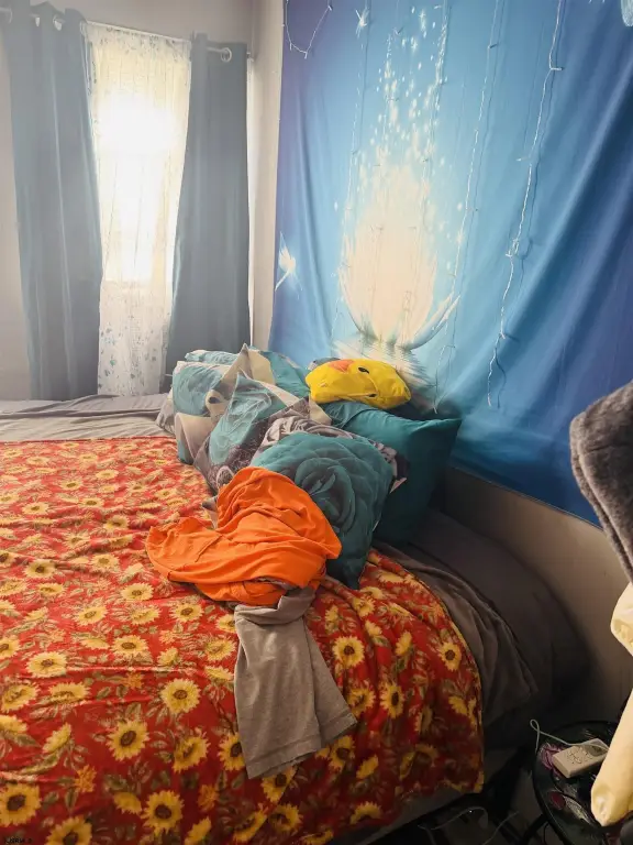 Picture 23