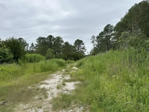 Vacant Land Near Wachapreague, VA