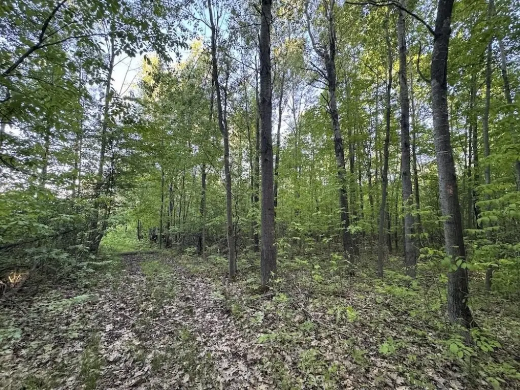 Picture 38