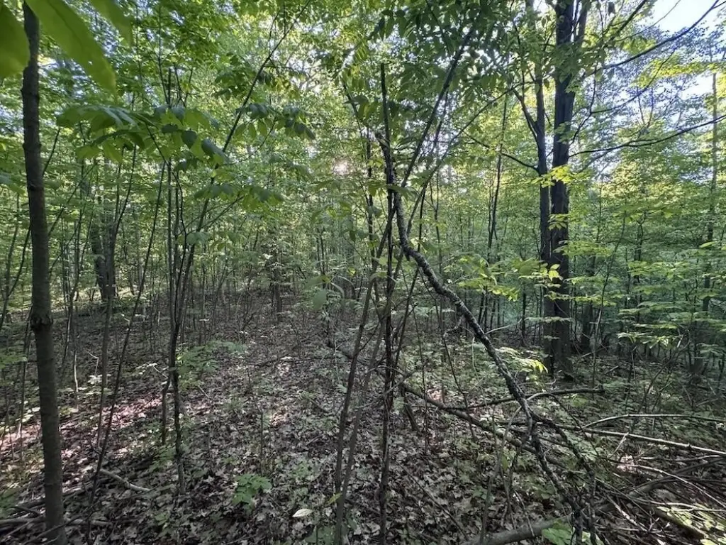 Picture 41