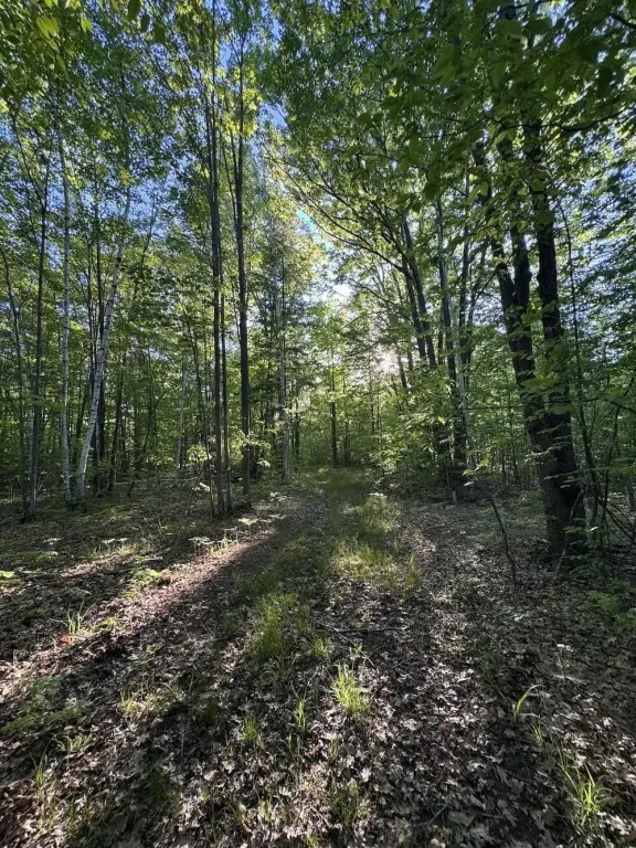 Picture 43