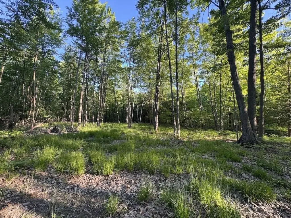 Picture 47