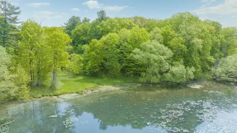 Lush Land Overlooking Pungs Lake