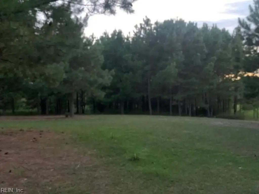 Picture 4