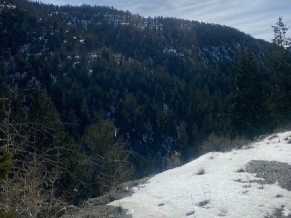 Picture 8
