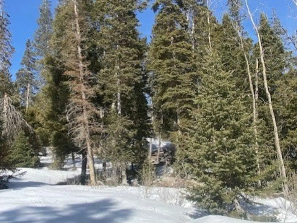 Picture 14