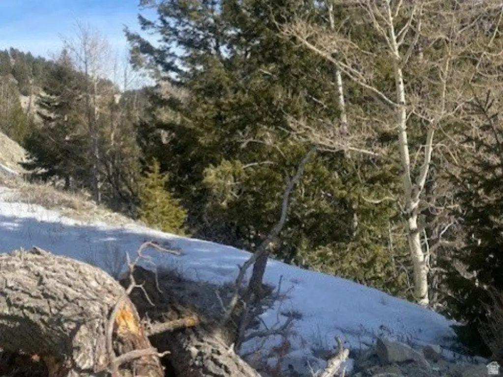Picture 5