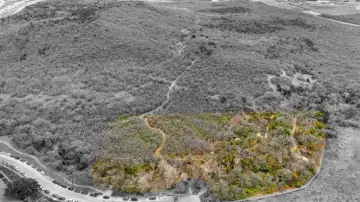 Vacant Land in Dallas, TX