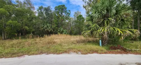 Residential Land in Sea Pines