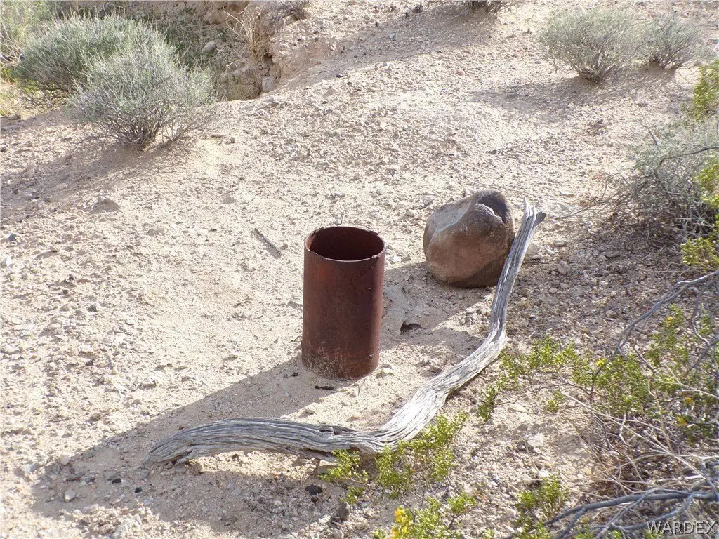 Picture 41