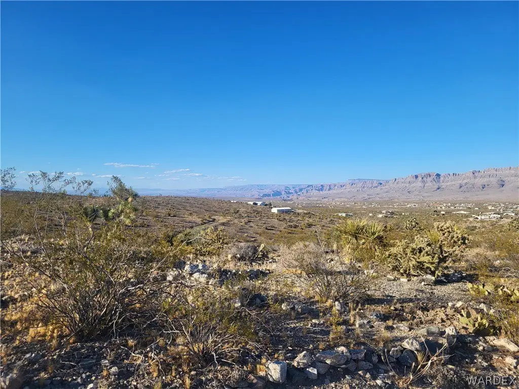 Picture 4