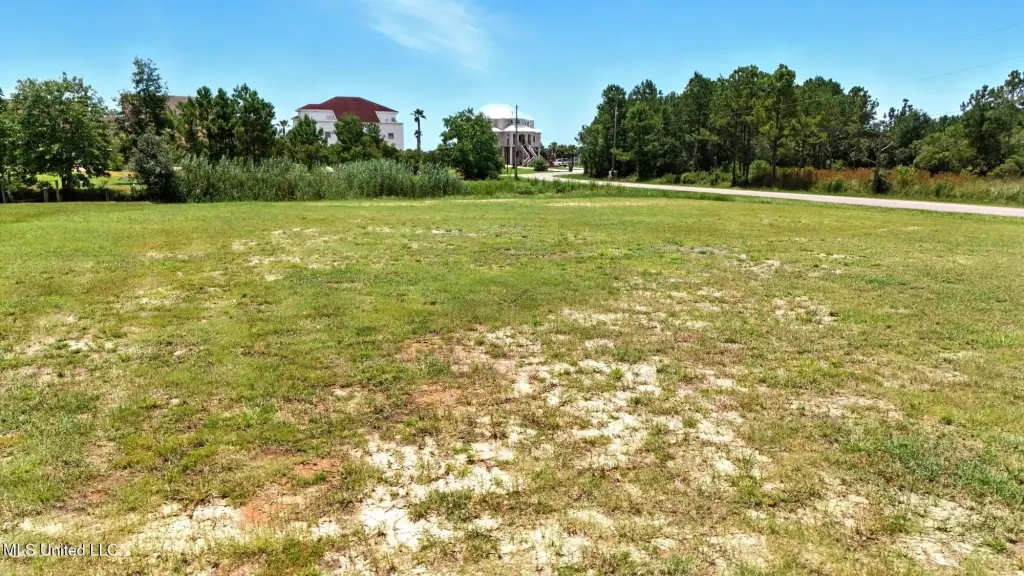 Picture 15