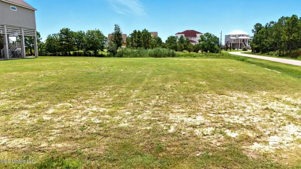 Picture 25