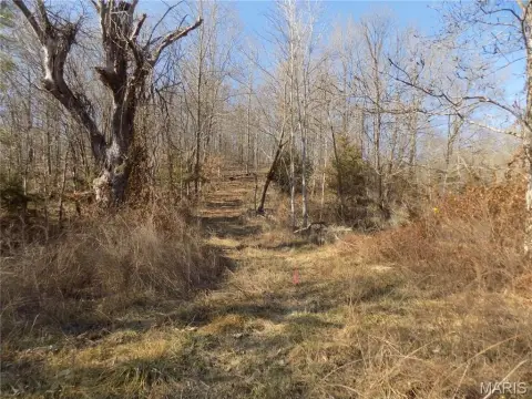 Lesterville Land for Hunting