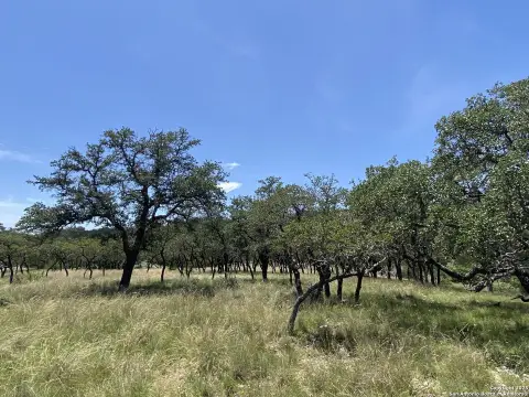 Texas Hill Country Land Parcel