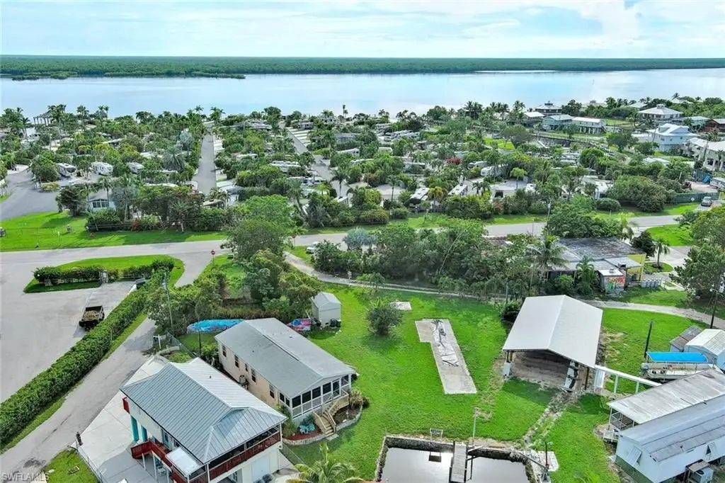 Picture 8
