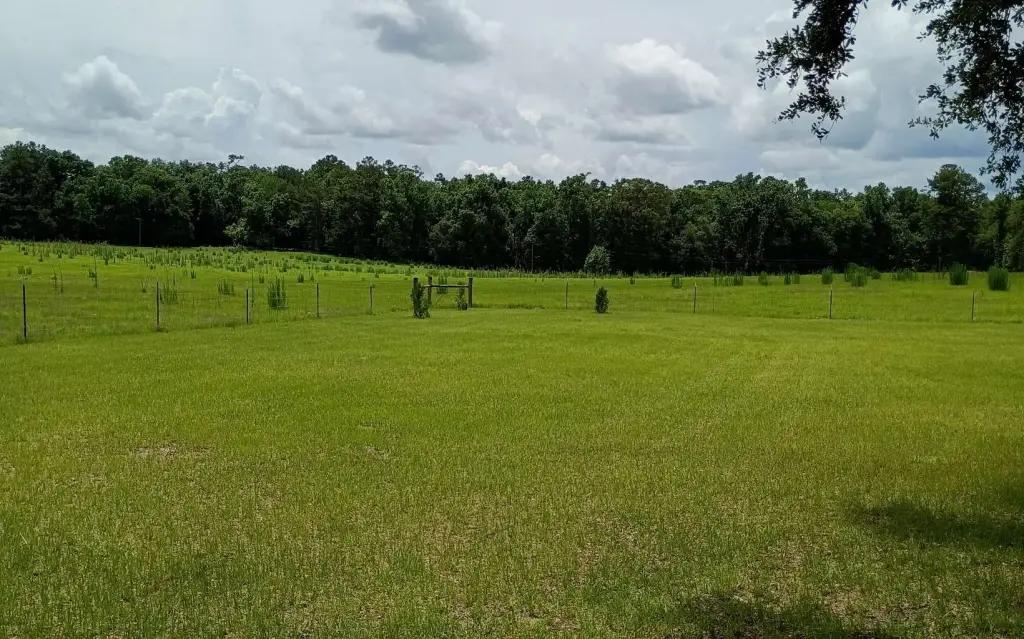 Picture 2