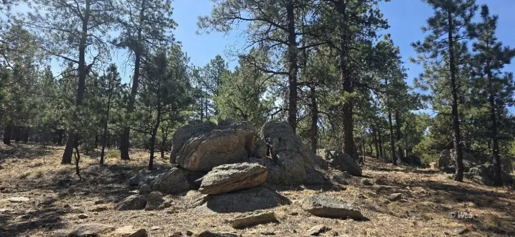 Picture 16