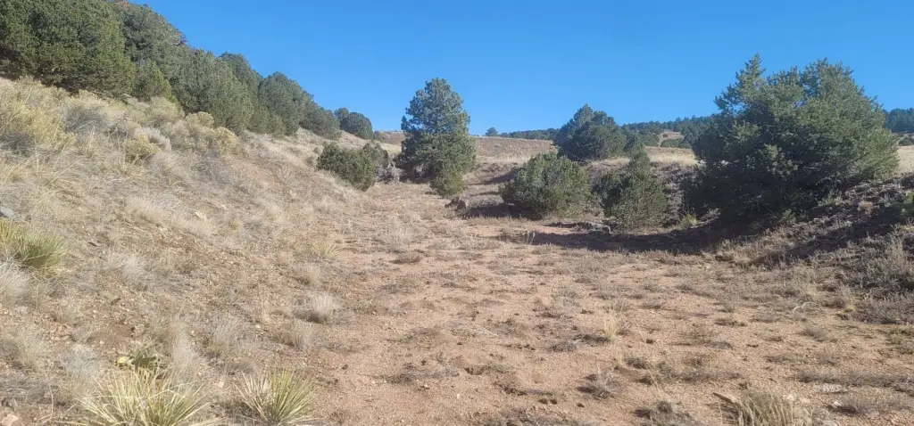 Picture 15