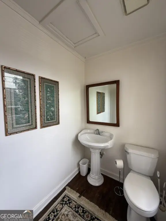 Picture 29