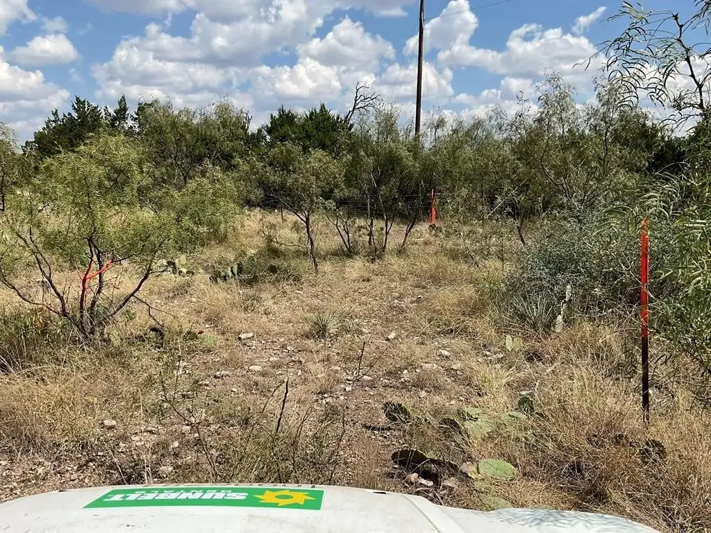 Picture 29