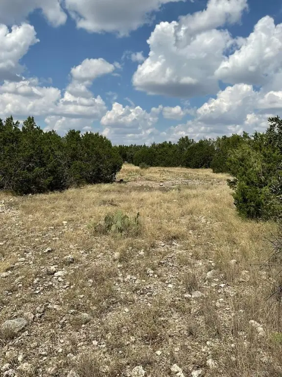 Picture 33