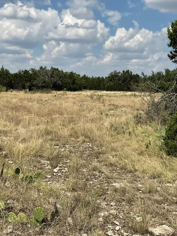 Picture 32