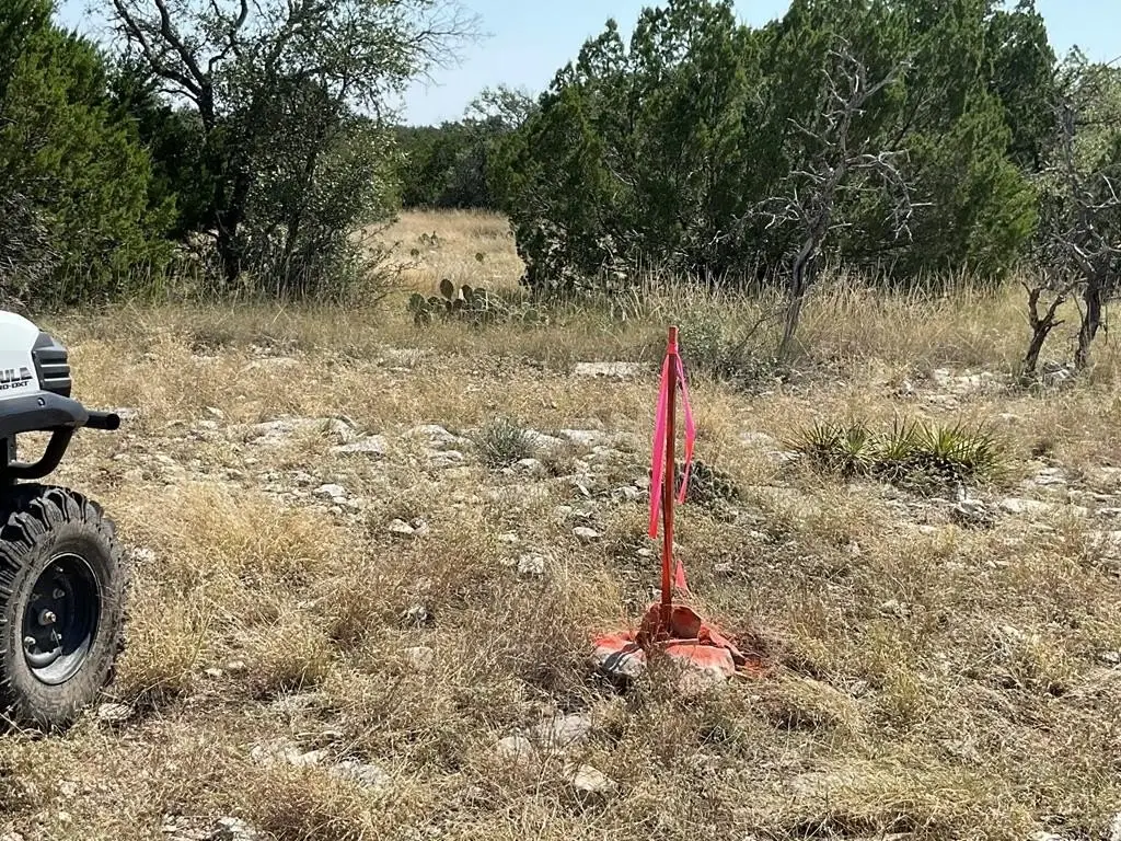 Picture 27