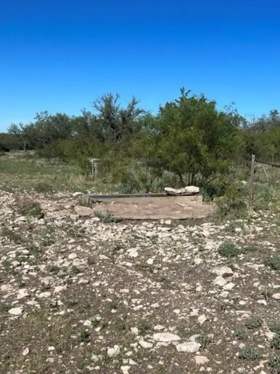 Picture 19