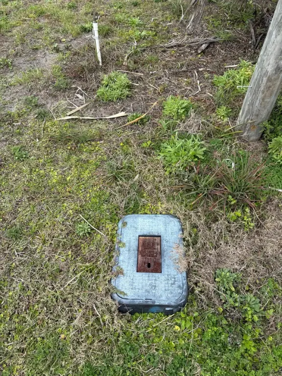 Picture 12