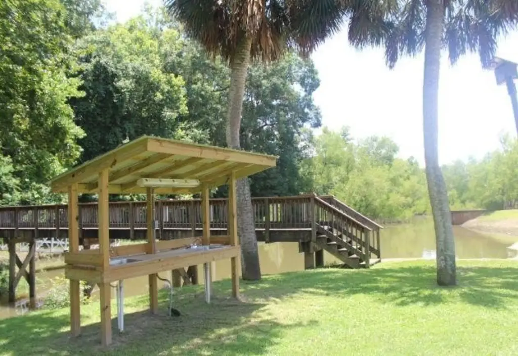 Picture 9