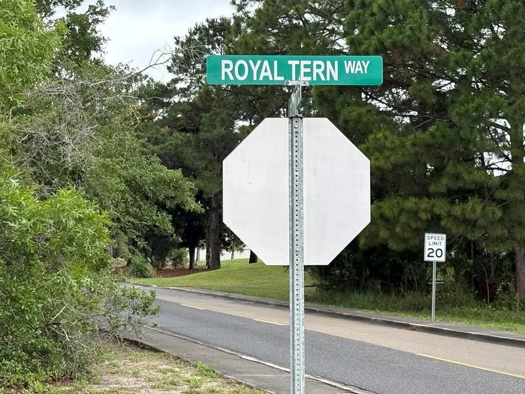Picture 5