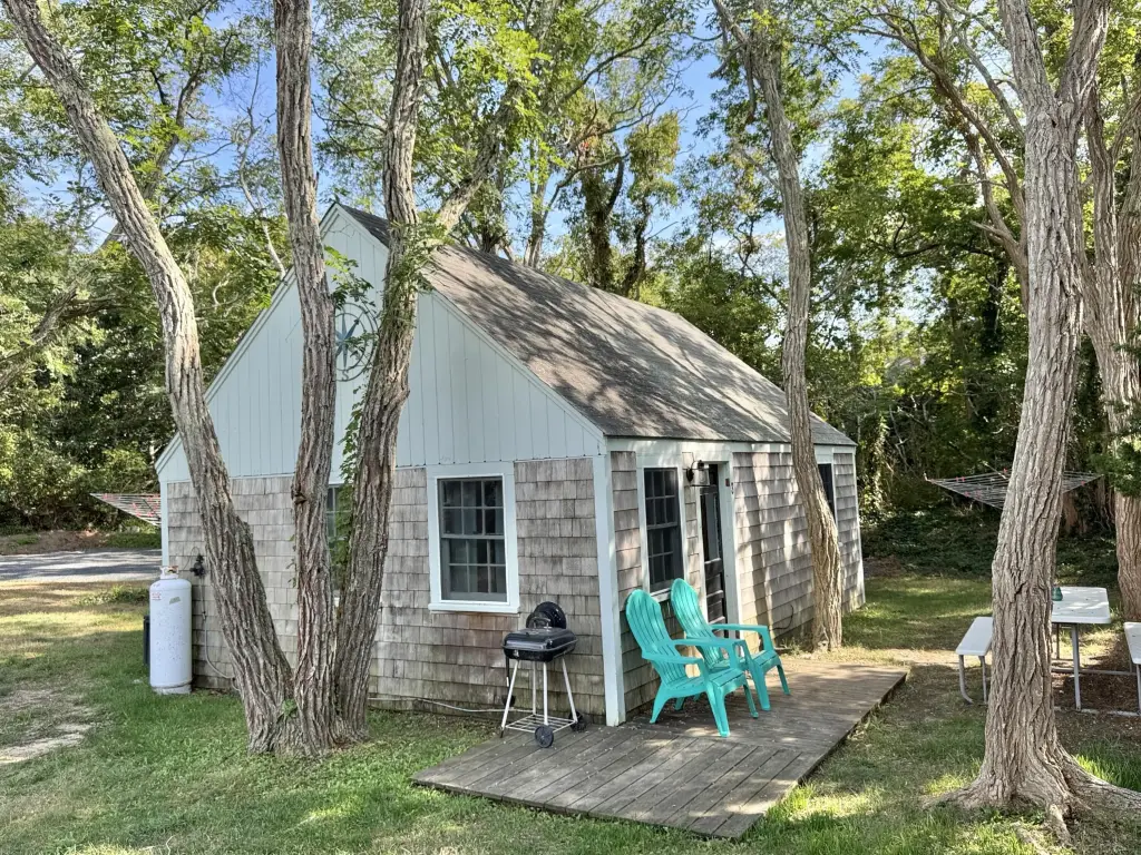 Picture 27
