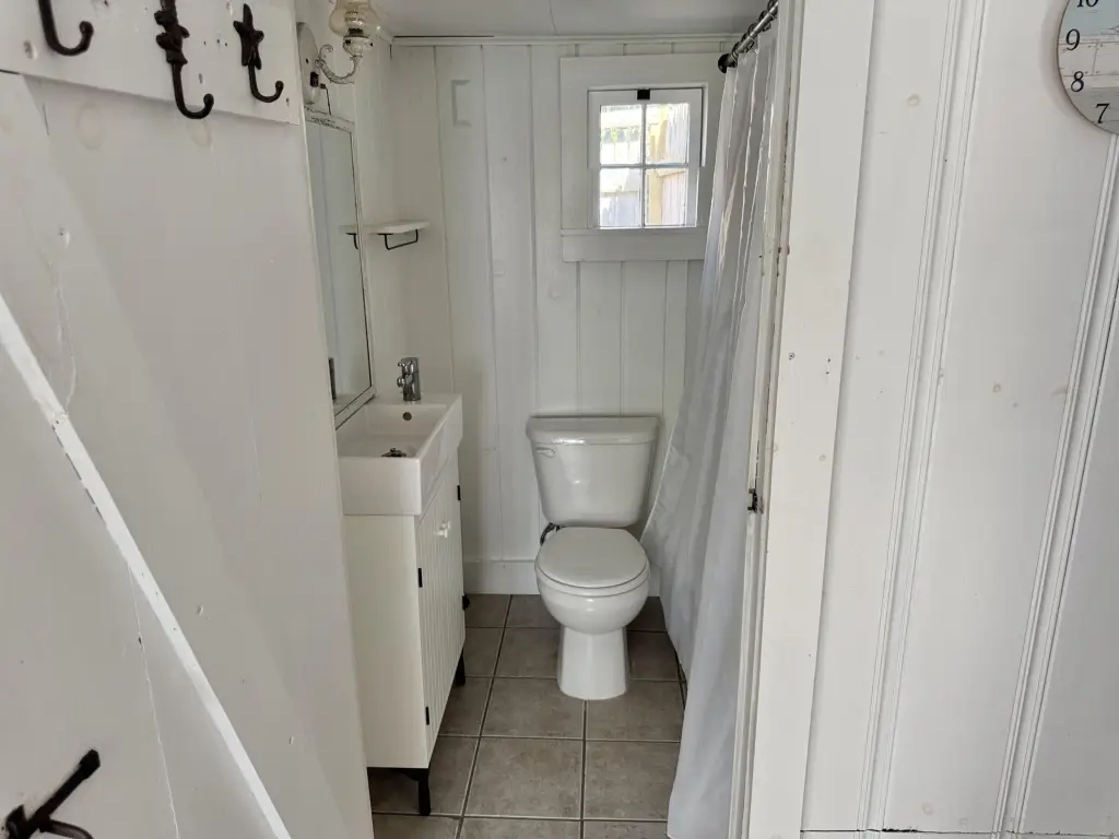 Picture 11