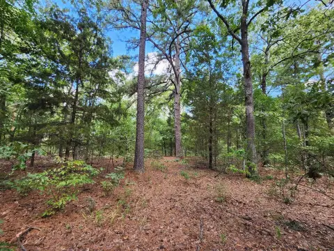 80 Acres in Kiamichi Mountains