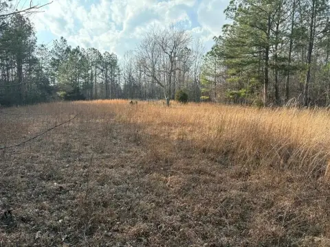 8.12 AC Land in Bradley
