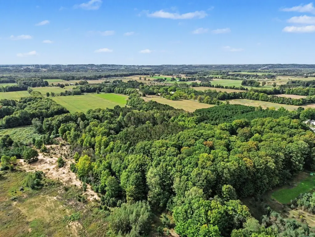 Picture 9