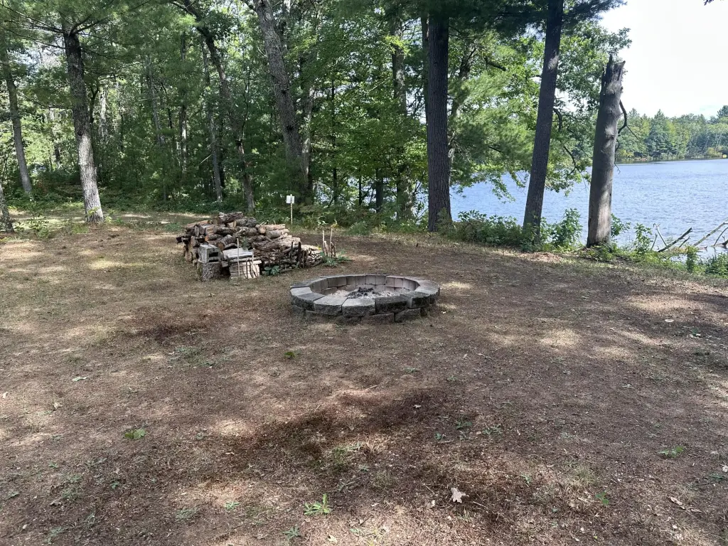 Picture 6