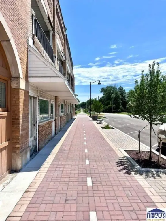 Picture 8