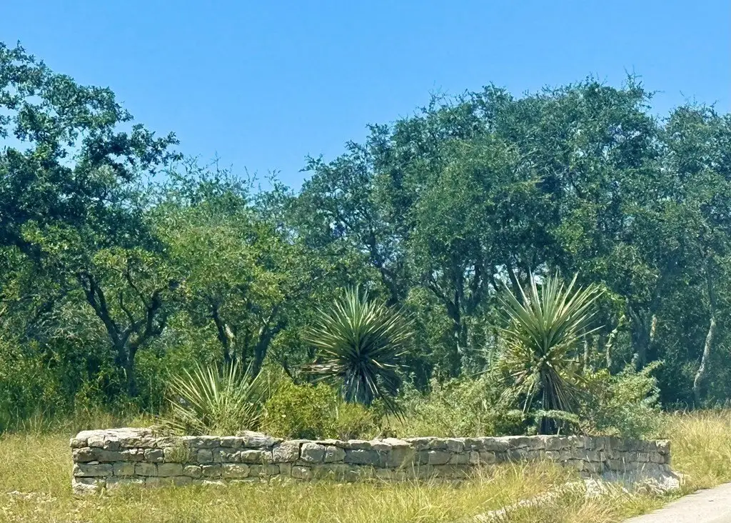Picture 14