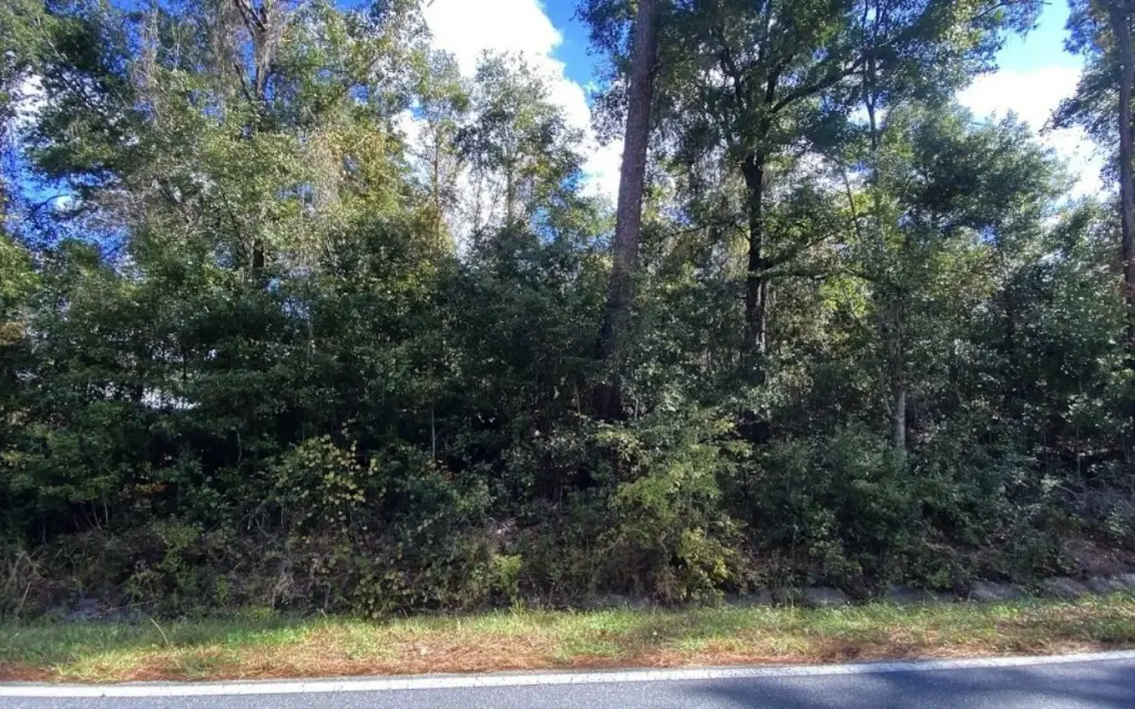 Picture 3