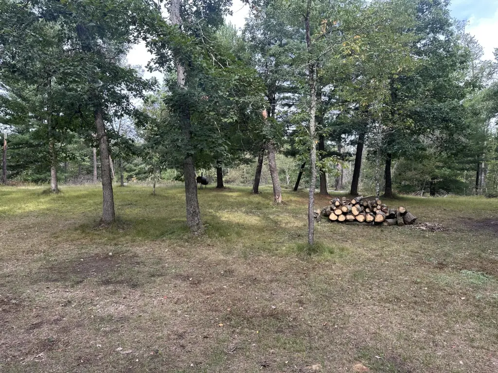 Picture 14