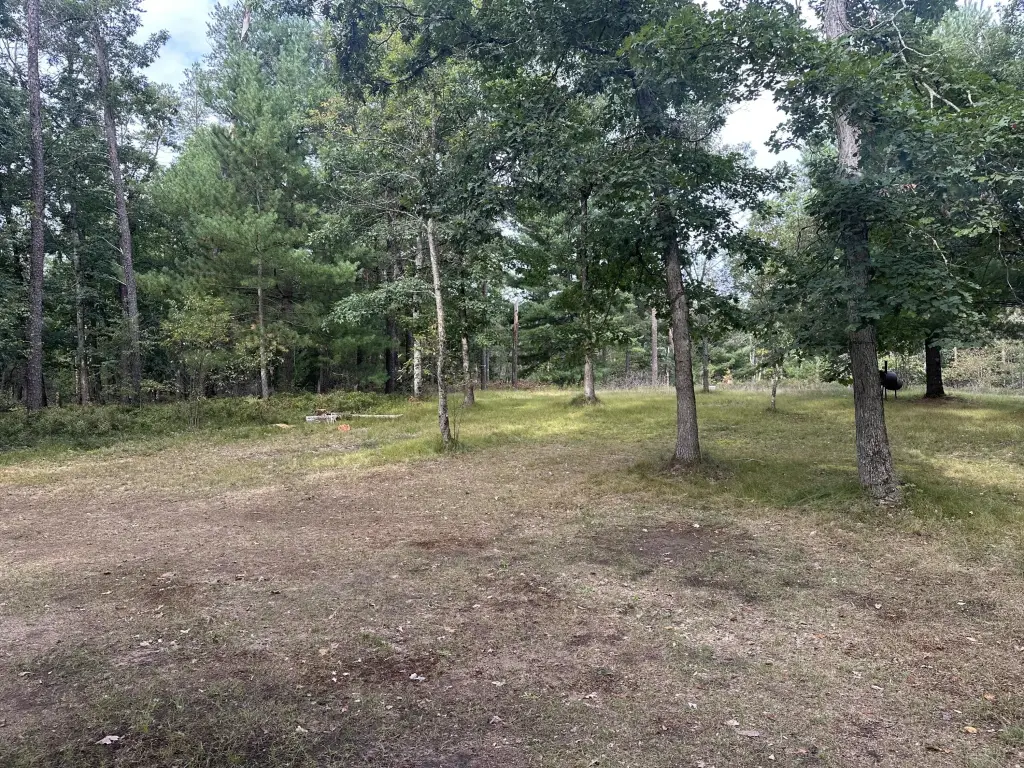 Picture 15