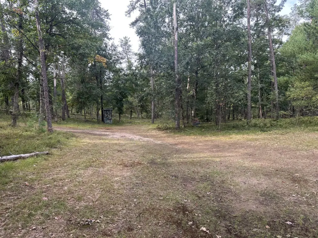 Picture 16