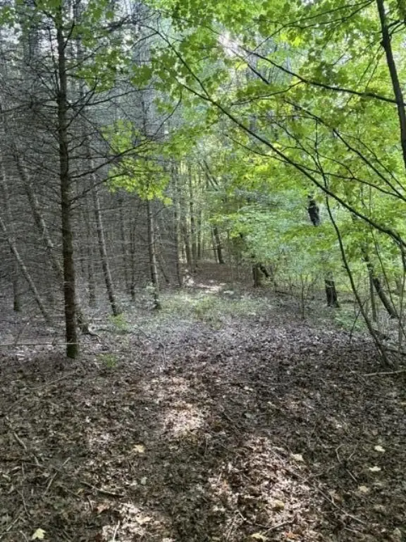 Picture 20