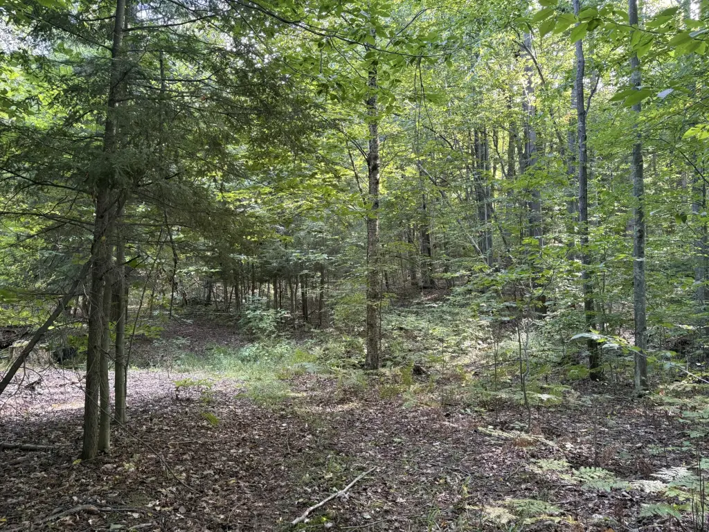Picture 25