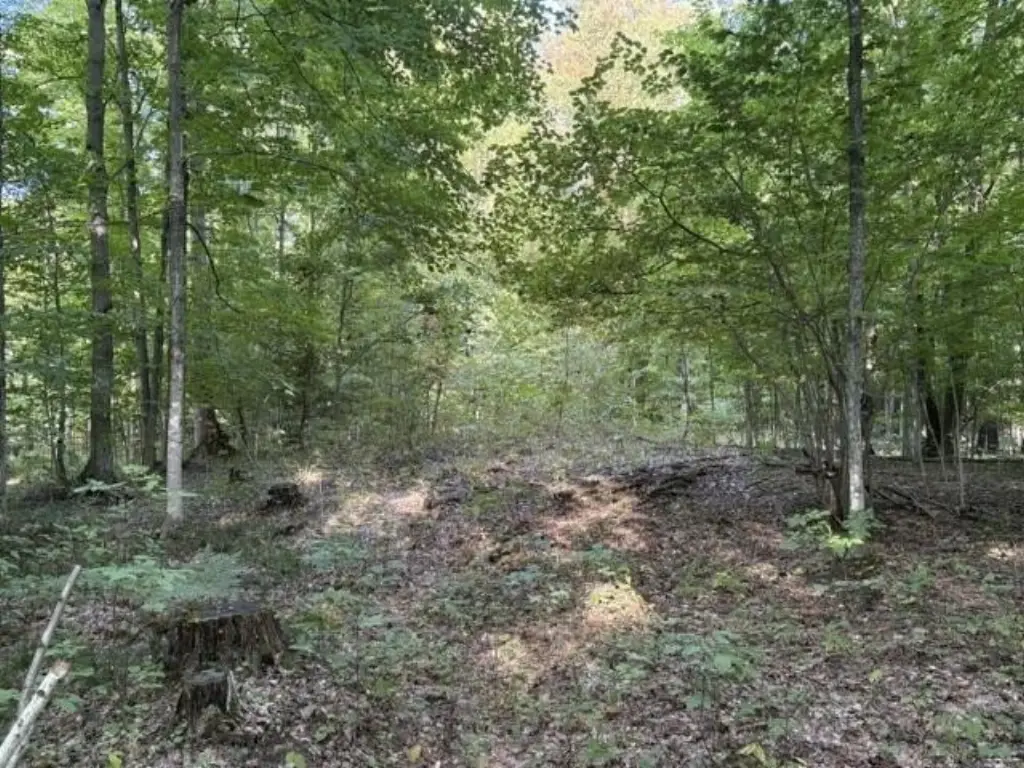 Picture 15
